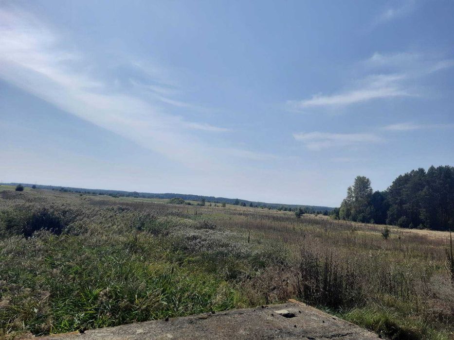 Димер, 24 га, ОСГ. Поруч ліс і  вода