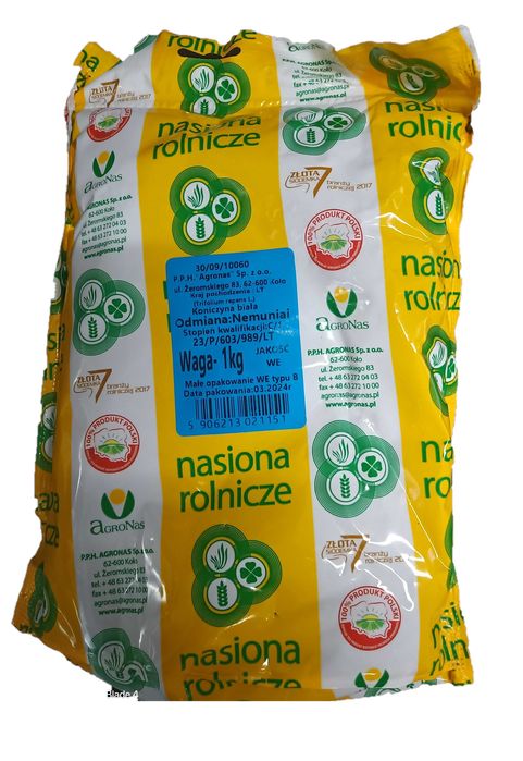 Koniczyna biała, nasiona kwalifikowane koniczyna biała 2 kg