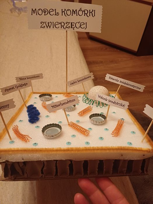 Model komórki zwierzecej