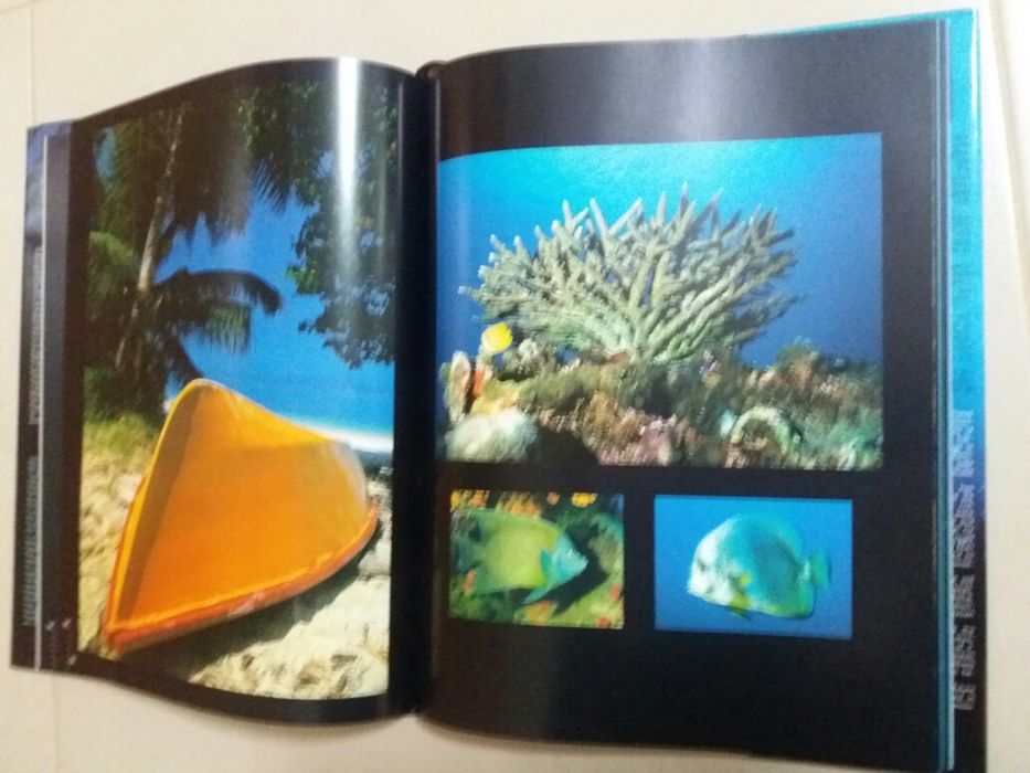 Livro: Sete Mares de João Ponces de Carvalho