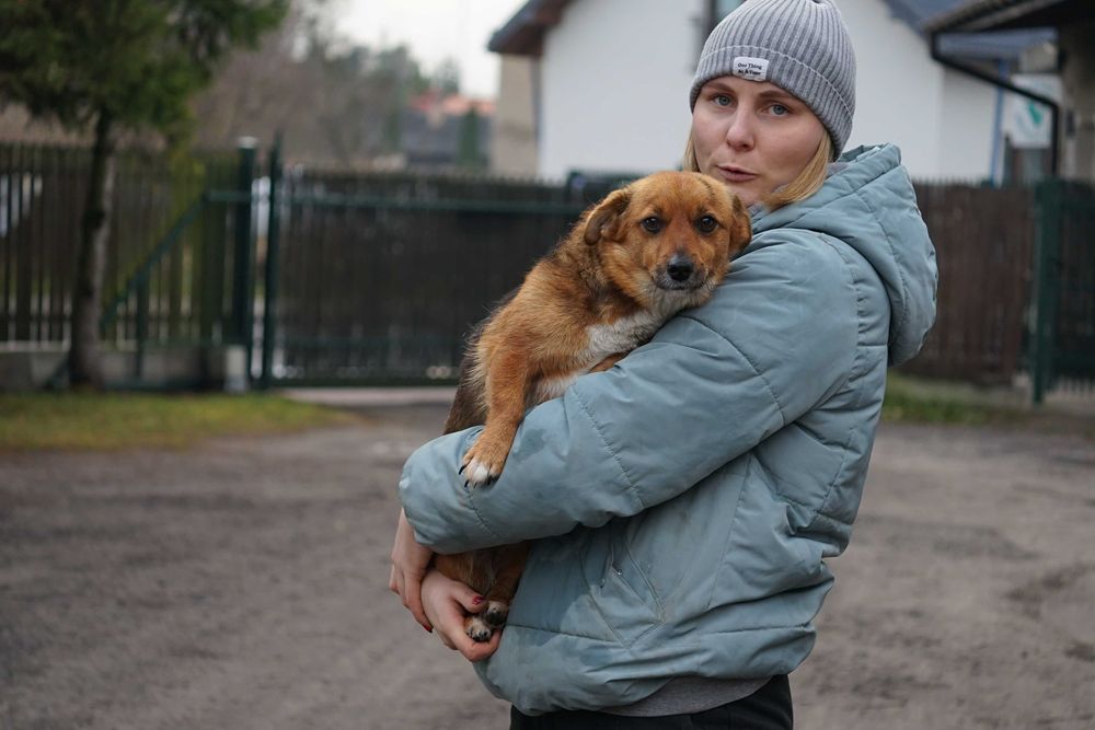 Blusia - mała, ruda sunia szuka domu