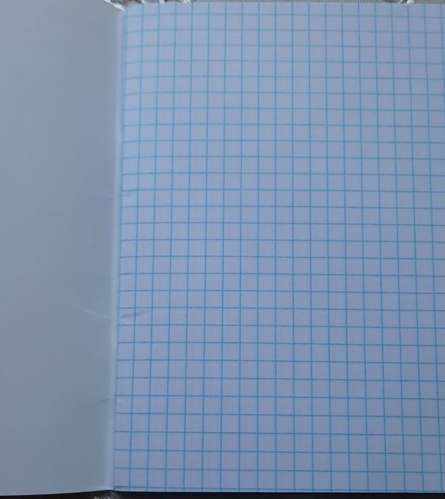 Блокнот в клетку