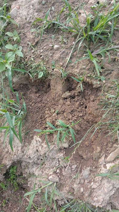 Sprzedam ziemię TANIO PILNE