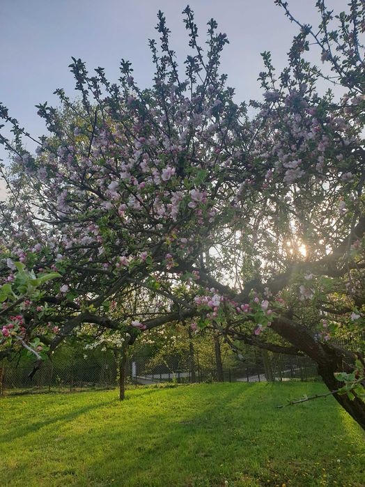 Działka budowlana Warszawa Białołęka 1943 m² - Więcej