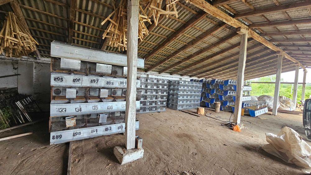 Клітки для кроликів маточні б/у