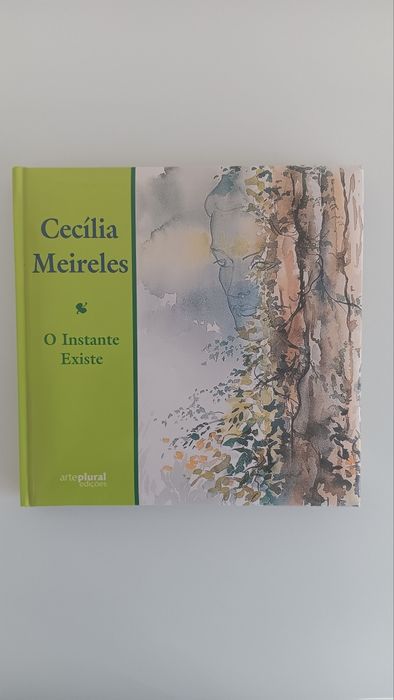 Cecília Meireles, O Instante Existe