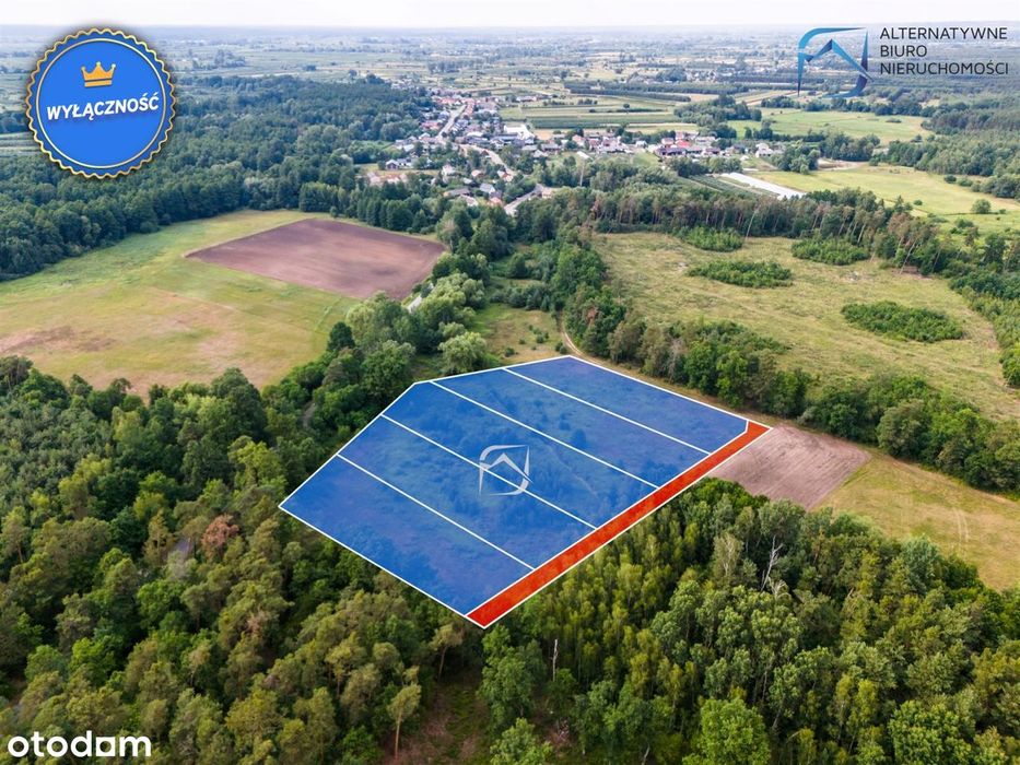 Działka pod zalesienie lub staw - Niedźwiada Duża - Widok 5