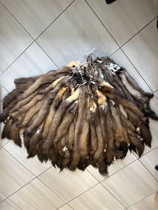 Продам вичинені шкіри куниці/мех/хутро