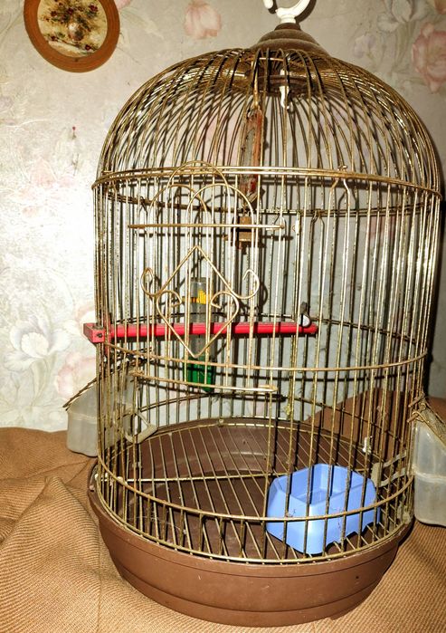 Поилка для домашних птиц+подарок клетка ( канарейка, амадин, попугай)