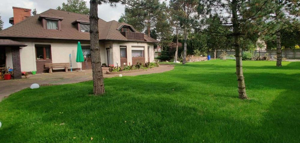 Zakładanie trawników , Trawa z rolki , Usługi ogrodnicze