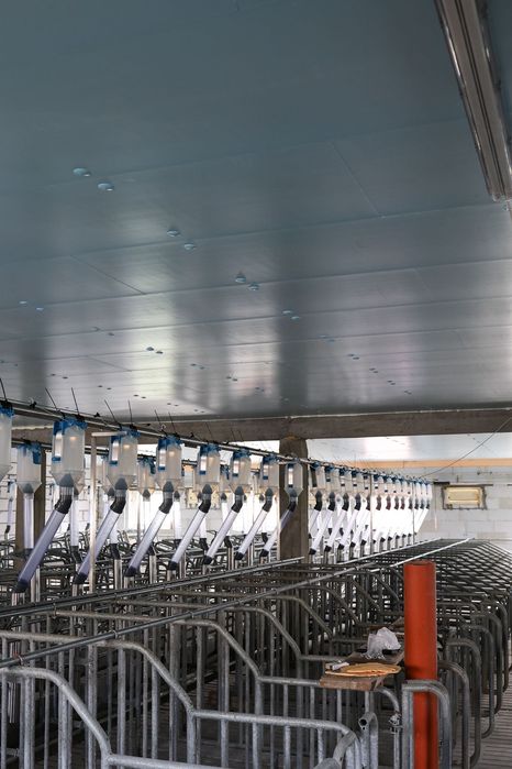 Płyty Termoizolacyjne Dachowe Styrodur XPS AGRO Podsufitka Podbitka