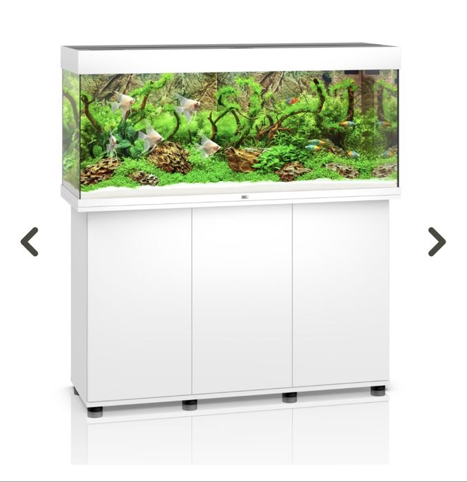 Akwarium Juwel rio 240