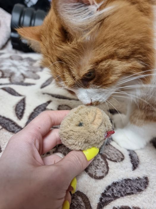 Ігрова звукова  мишка для котів