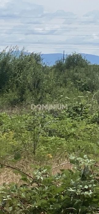 Продається земельна ділянка у м. Хуст