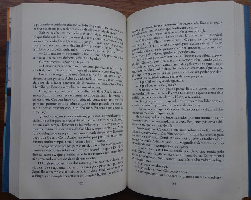 A Ilha das Garças de Sue Monk Kidd