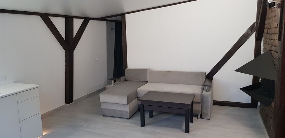 Двокімнатна квартира-лофт в центрі міста з видом на гай