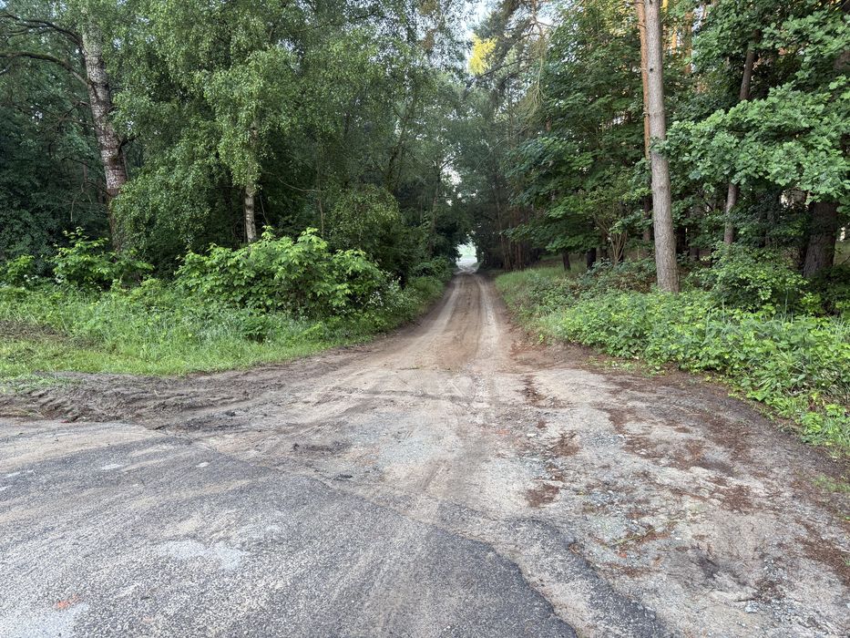 Łąki nad wartą Czmoniec
