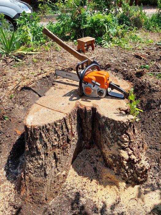 Измельчение веток и удаление проблемных пней. - Інші послуги Дніпро на Olx