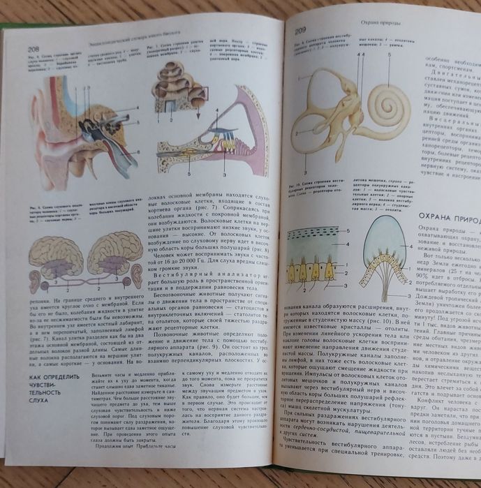 Энциклопедический словарь юного биолога,