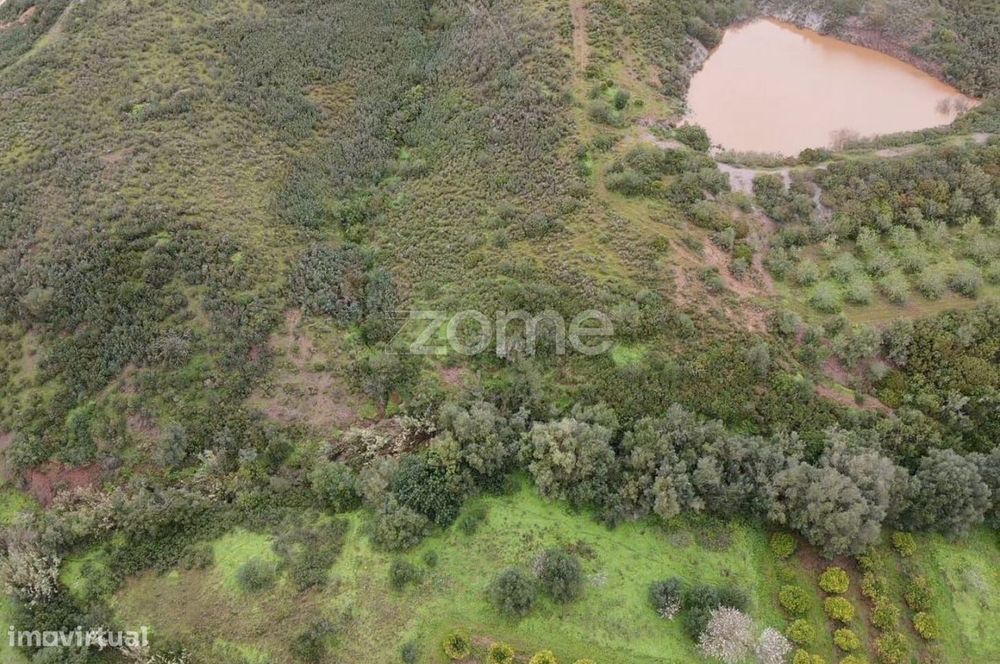 Terrenos Rústicos c/ total de 2.960m2 em Gregórios, Messines