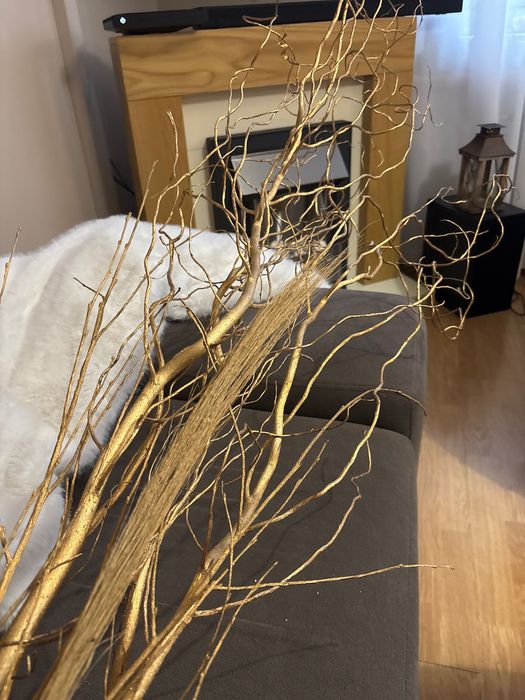 Wierzba mandżurska malowana