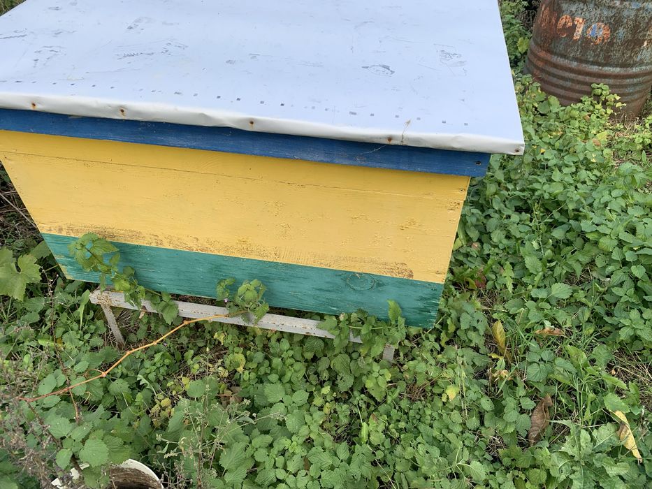 Вулик лежак 20 рамочний