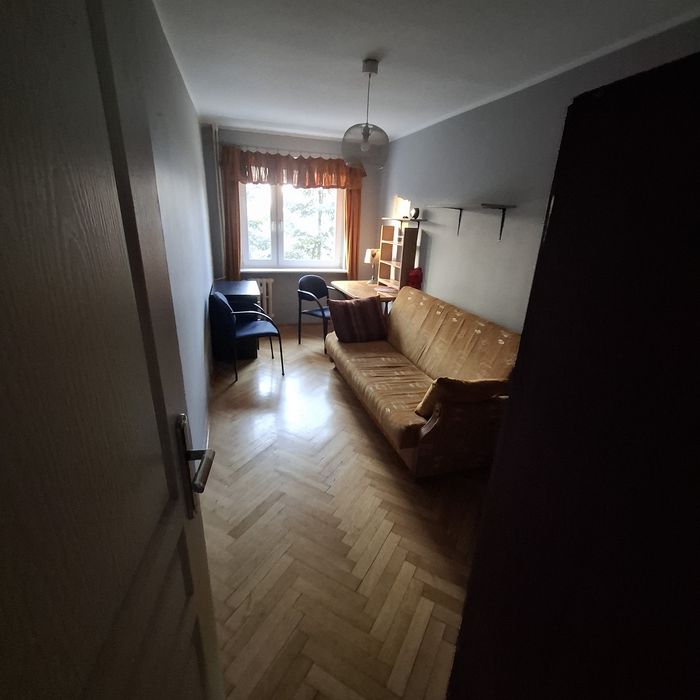 Pokój  do wynajęcia Winogrady