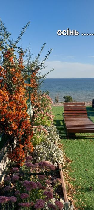Один чи два будиночки(дом,домики)з видом на море(у моря)Одеса/Фонтанка