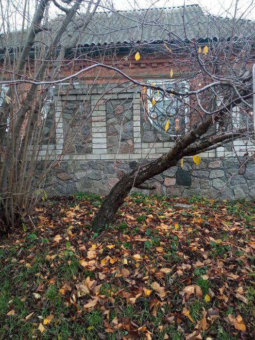 Продам будинок в центрі