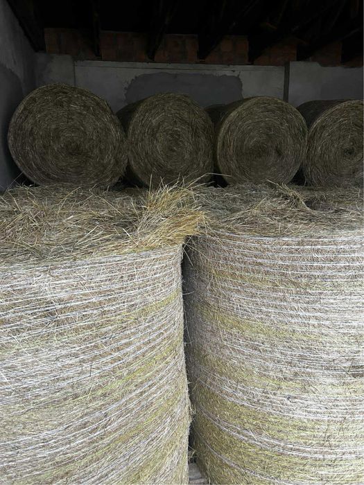Sprzedam siano poerwszy pokos