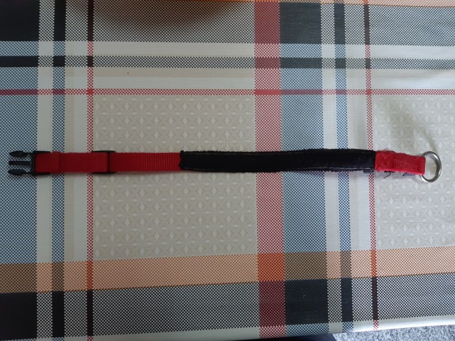 Vendo Coleira de Cão