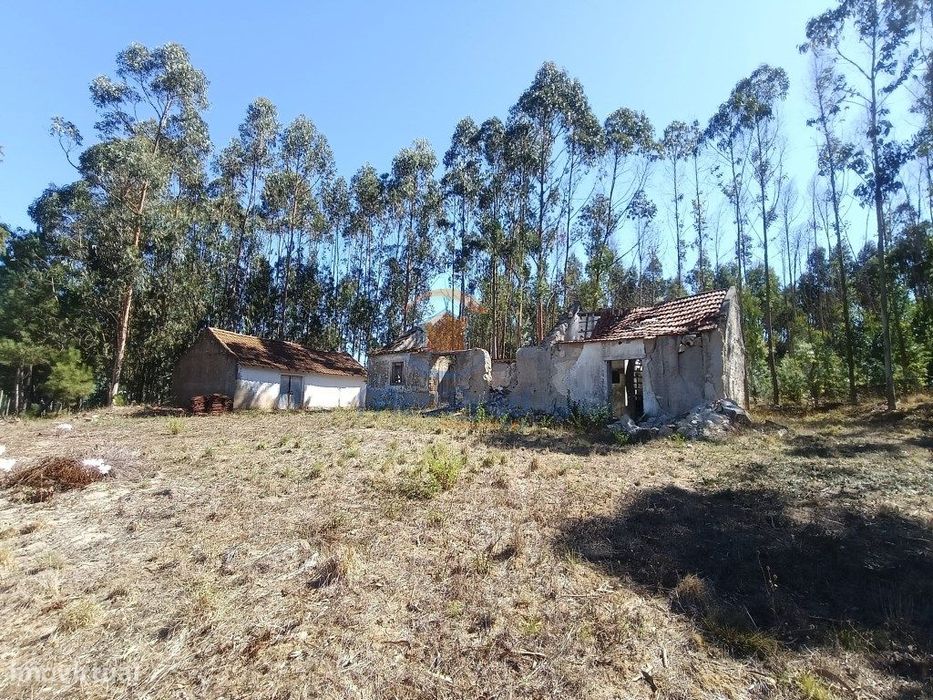 Casa e Adega com 4.200 m2 de terreno | Maxial, Torres Vedras