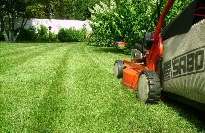 Догляд за садом, газоном, квітниками, обрізка, стрижка, озеленення