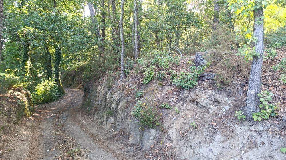 Terreno com PIP aprovado