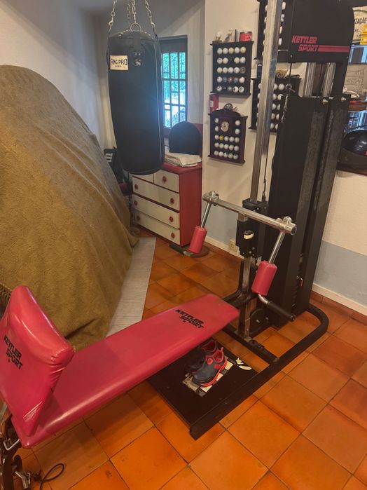 Weight Training Station475388473120532480