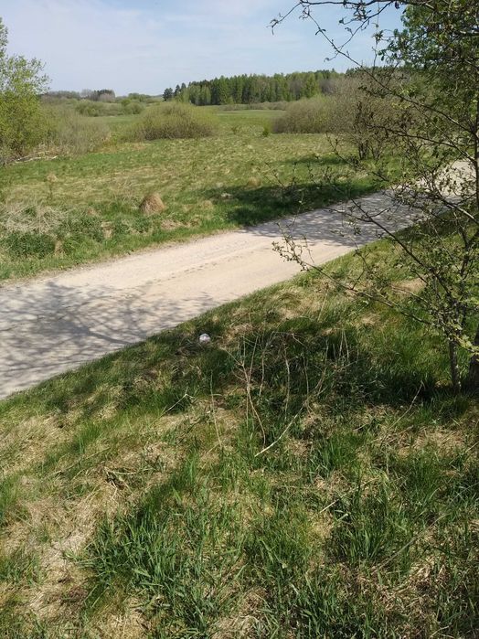 Działki  z  których    blisko   i    do  pracy  i  do lasu.