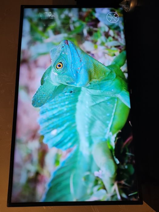 Телевізор Philips 43PUS7505/12 — 43 дюйми, 4K Ultra HD