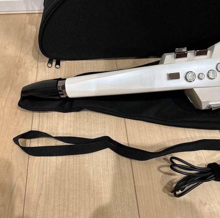 Multi instrumento Digital Roland aeropone AE 10