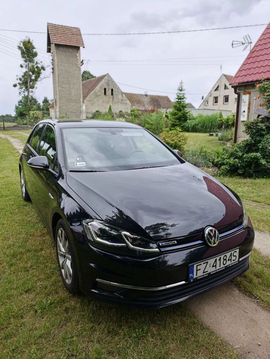 Volkswagen Golf Volkswagen Golf 1.5 TSI 130 KM Highline | CESJA | 2018 | Leasing