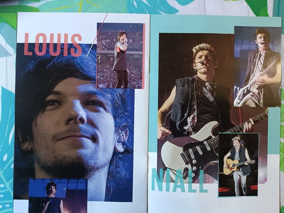 DVD  - One  Direction -