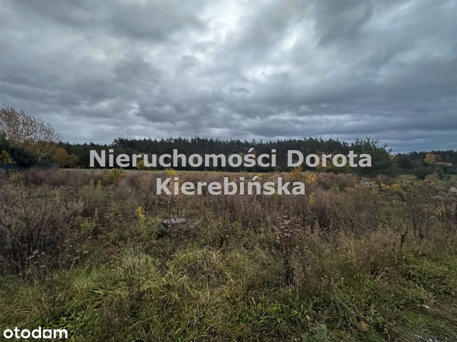 Działka budowlana, aktualne Wz- Wiaderno.