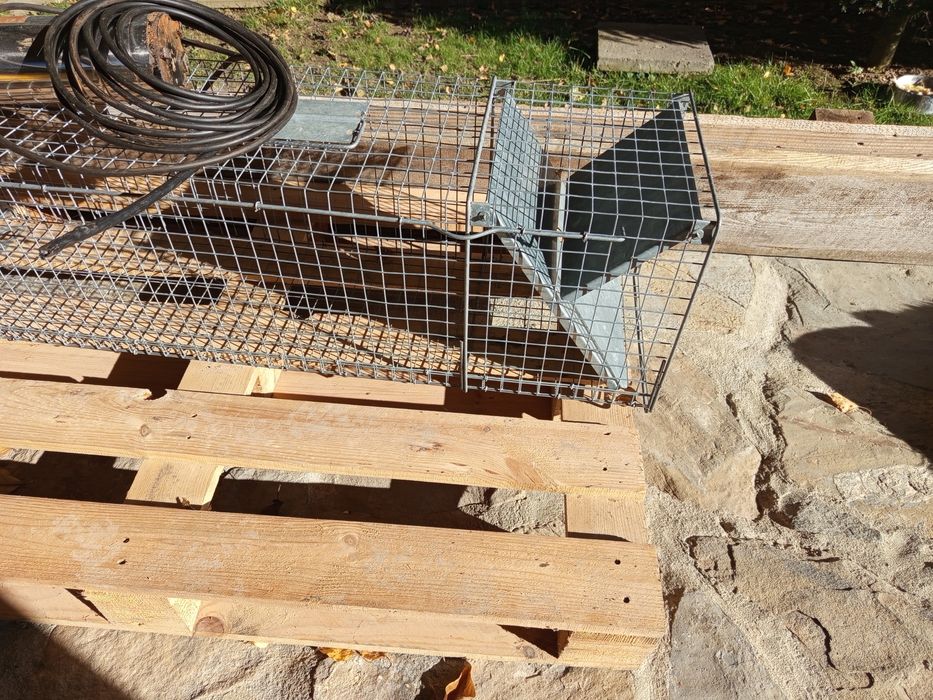 Transporter dla zwierząt