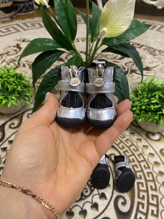 Ботинки для собак