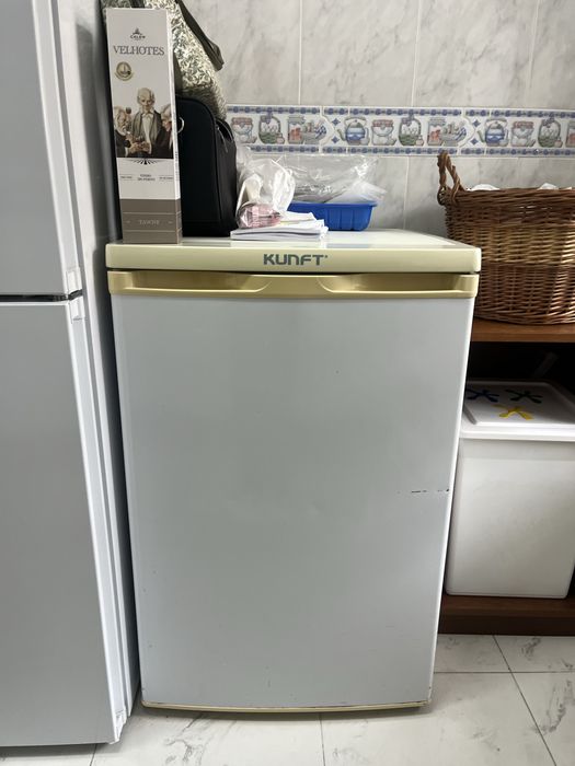 Arca frigorifica Kunft