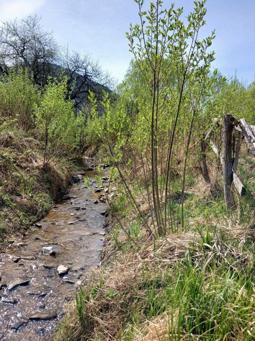 Земельна ділянка під забудову в с. Стара Гута_M