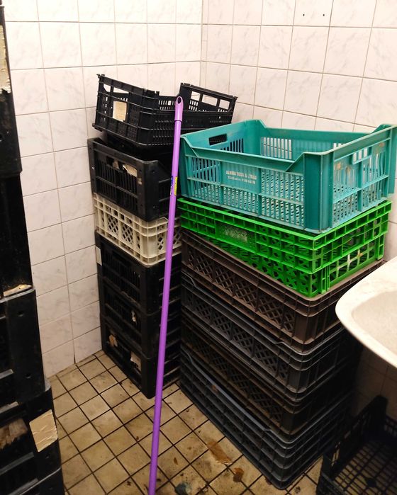 Cestos/Tabuleiros para Frutas/ Legumes