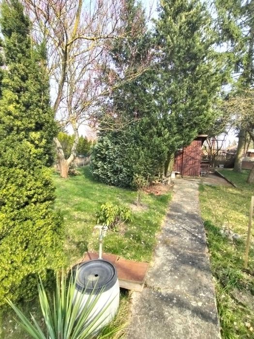 Sprzedam Dzialke 300m . Gorki Ustowskie ul. Poludniowa Szczecin - Widok 2