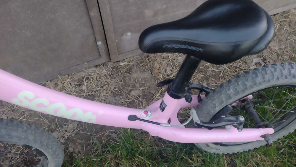 Rower biegowy duży Ridgeback Scoot Xl 14'' różowy
