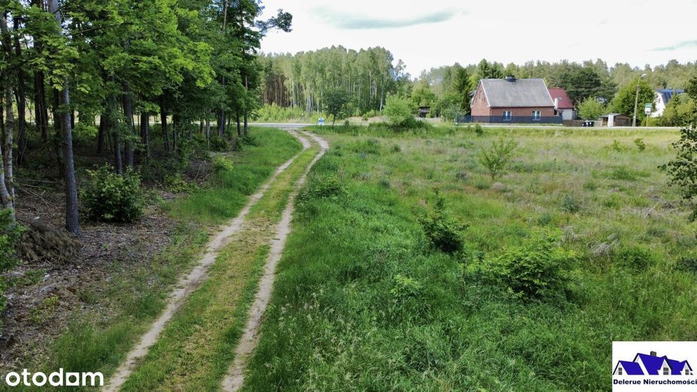 Działka budowlana w sąsiedztwie lasu