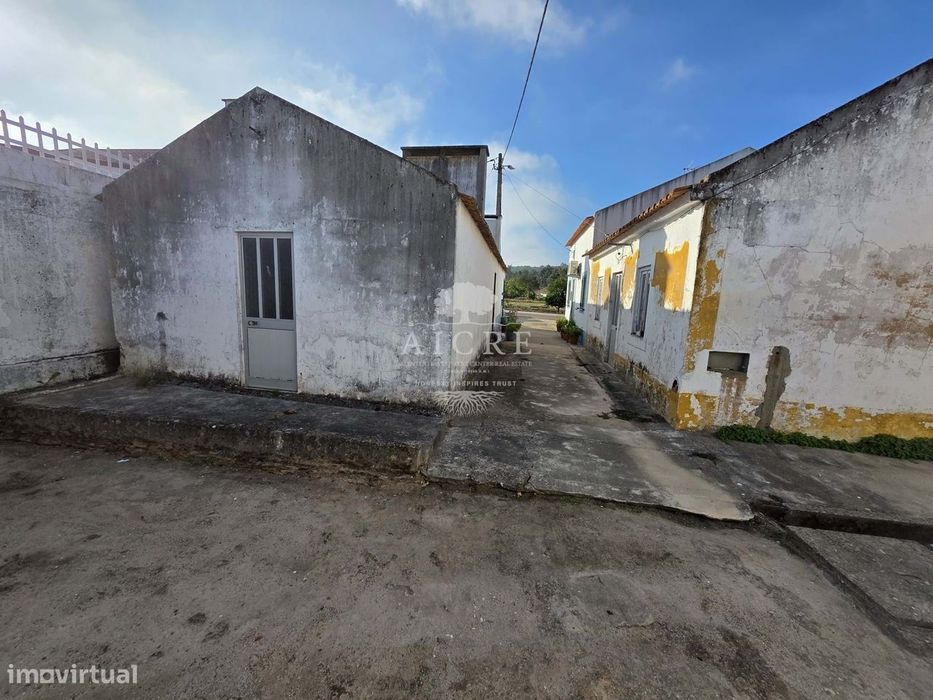 Chouto perto da Chamusca — Ulme, Santarém